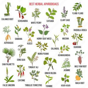 Aphrodisiacs uses and benefits