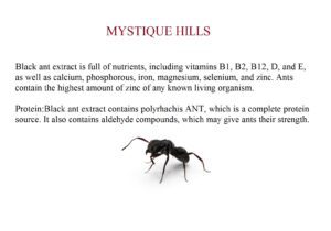Black Ant Extract uses and benefits