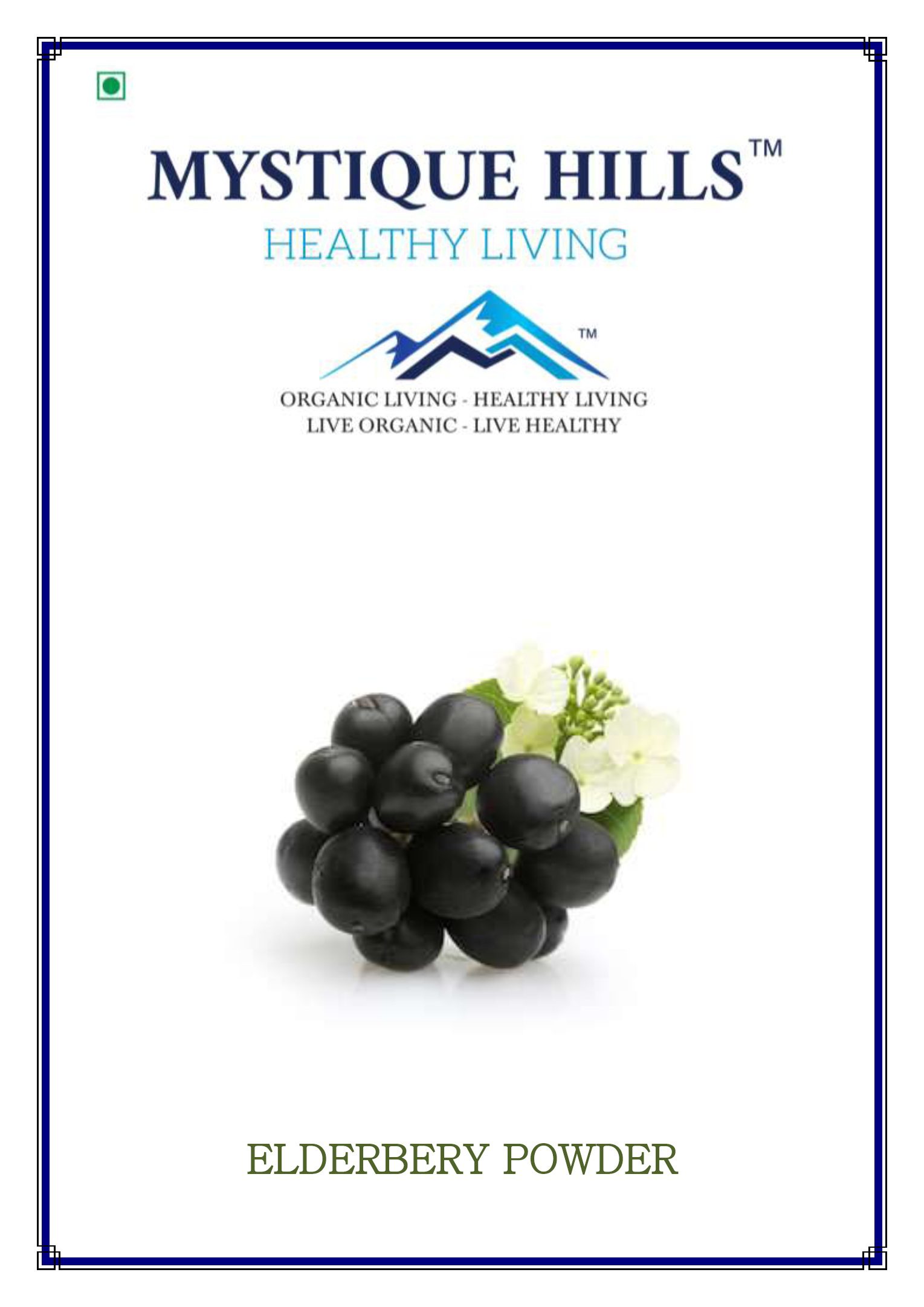 Mystique Elderberry Extract 50g