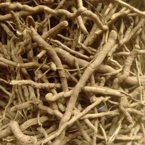 Mondia whitei uses and benefits
