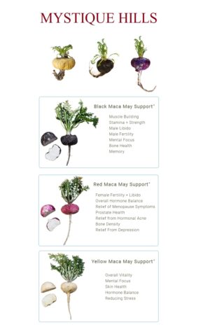 Black maca root uses and benefits