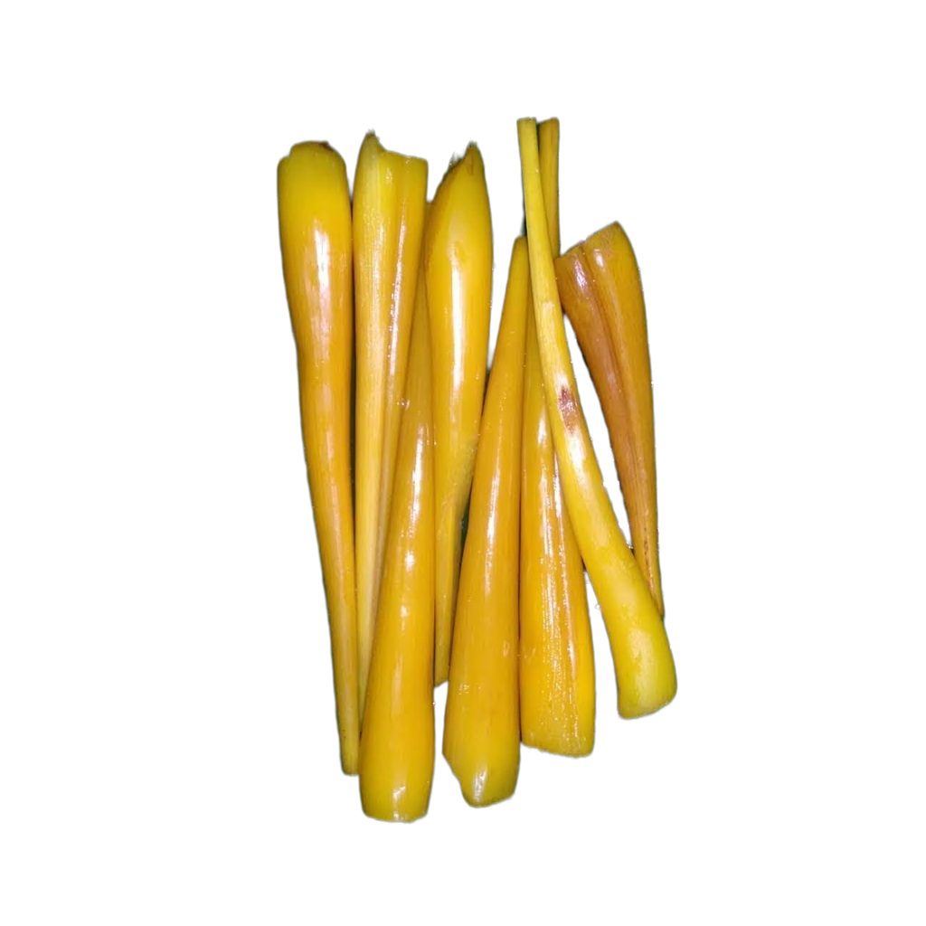 Mystique Palmyra sprout powder 500 g - Image 3