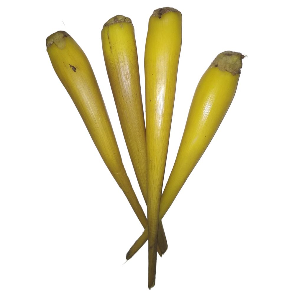 Mystique Palmyra sprout powder 500 g - Image 4