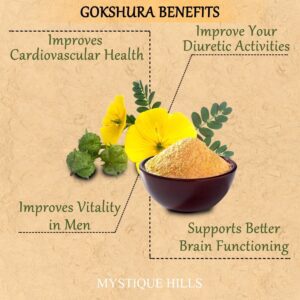 Tribulus Terrestris uses and benefits
